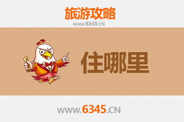 南丰民宿深度游：古韵与现代交融的栖居体验